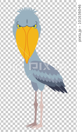 主線のないシンプルなハシビロコウのイラスト素材 101636046