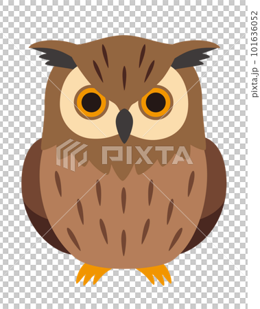 Illustration of a simple horned owl without main lines 101636052