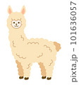 主線のないシンプルなアルパカのイラスト 101636057