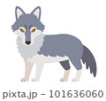 主線のないシンプルなオオカミのイラスト 101636060