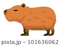 主線のないシンプルなカピバラのイラスト 101636062