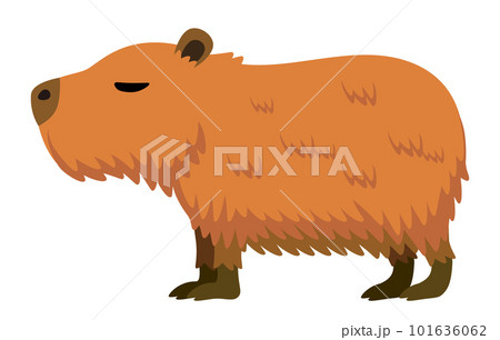 Download Capybara, Mammal, Capibara. Royalty-Free Vector Graphic