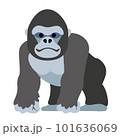 主線のないシンプルなゴリラのイラスト 101636069