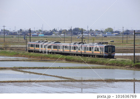 越後線E129系電車(4両編成:吉田⇔新潟) 越後線E129系電車(4両編成:吉田⇔新潟) 101636769