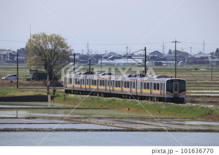 越後線E129系電車（4両編成：吉田⇔新潟）の写真素材 [101636770] - PIXTA