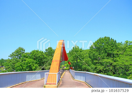 豊田市、鞍ヶ池公園虹のかけ橋の風景 101637529