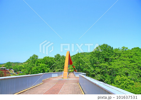 豊田市、鞍ヶ池公園虹のかけ橋の風景 101637531