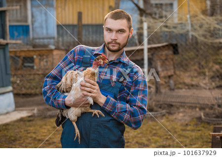 Farmer handsome serious european caucasian rural portrait in countryside with beard, shirt and overalls looks at camera with chicken white neck in his arms on the outdoor Farmer handsome serious european caucasian rural portrait in countryside with beard, shirt and overalls looks at camera with chicken white neck in his arms on the outdoor 101637929