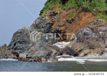 沼島のさや状褶曲地層 101638703