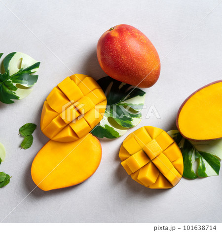 マンゴー マンゴ 夏 101638714