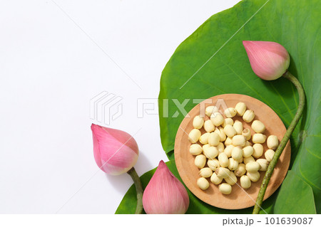 Lotus buds, green leaves and lotus seeds on white background. Blank space for text or design. Flower national of Vietnam Nam. Top view, flat lay. (Nelumbo nucifera) Lotus buds, green leaves and lotus seeds on white background. Blank space for text or design. Flower national of Vietnam Nam. Top view, flat lay. (Nelumbo nucifera) 101639087