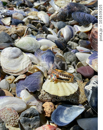 The concept of a wedding. Gold ring on a seashell 101639105