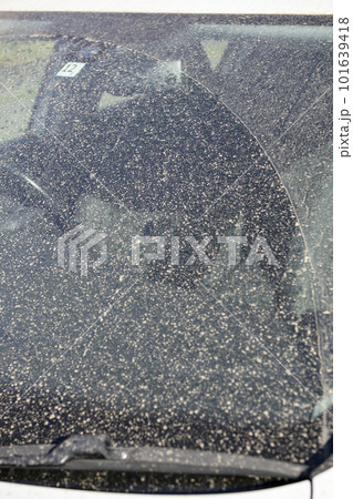 黄砂で汚れた車のガラス 101639418