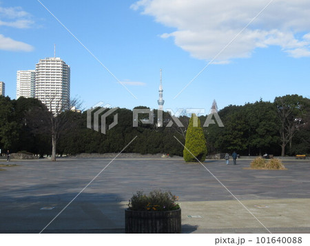 木場公園イベント広場付近 木場公園イベント広場付近 101640088