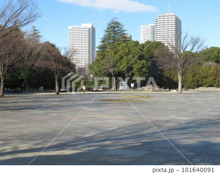 木場公園イベント広場付近 101640091