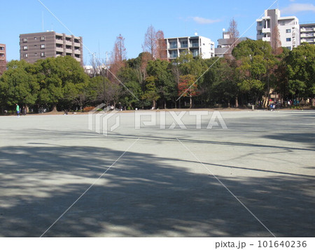 木場公園の多目的広場付近 101640236