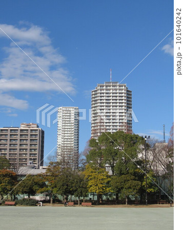 木場公園の多目的広場付近 101640242