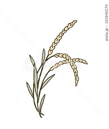Draw Field Rice Stock Illustrations – 221 Draw Field Rice Stock  Illustrations, Vectors & Clipart - Dreamstime