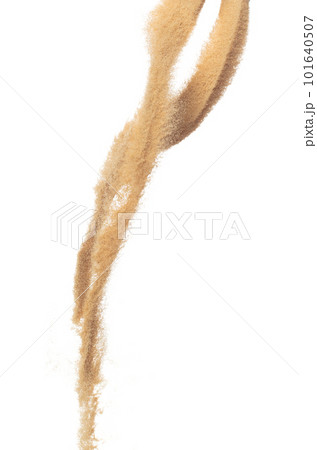 Sand flying explosion, Golden grain wave explode. Abstract cloud fly. Yellow colored sand splash throwing in Air. White background Isolated high speed shutter, throwing freeze stop motion Sand flying explosion, Golden grain wave explode. Abstract cloud fly. Yellow colored sand splash throwing in Air. White background Isolated high speed shutter, throwing freeze stop motion 101640507