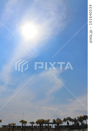 青空 雲 ヤシの木 青空 雲 ヤシの木 101640534