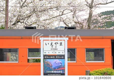 大井川鐵道　家山駅の看板 101640600