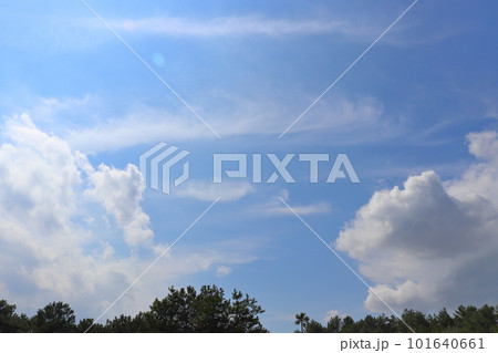 青空 雲 樹木 青空 雲 樹木 101640661