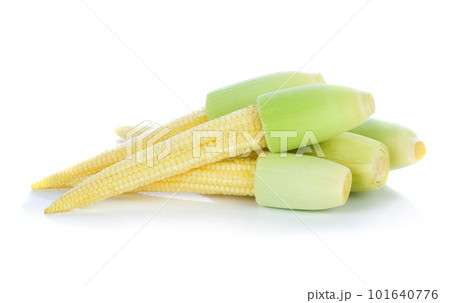 baby corn isolated on white background 101640776