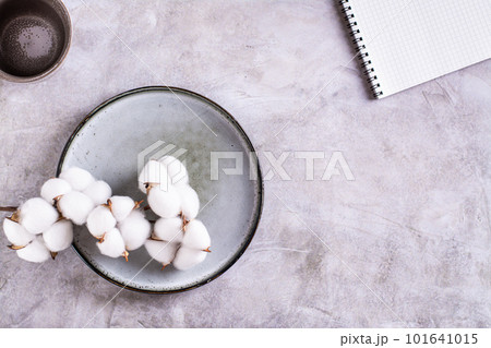Abstract composition of ceramic plate, cotton, cup and notebook on gray background top view Abstract composition of ceramic plate, cotton, cup and notebook on gray background top view 101641015