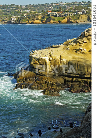 Day along coastal La Jolla 101641061