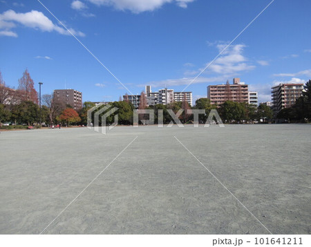 木場公園の多目的広場付近 木場公園の多目的広場付近 101641211