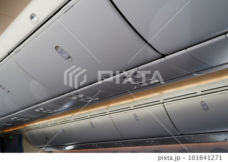 787 飛行機 航空機 101641271