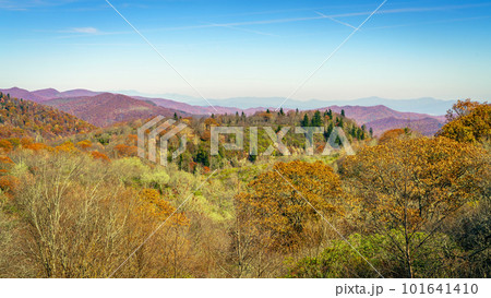 Smoky Mountains in fall 101641410