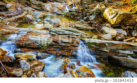 Yellowstone Prong creek 101641413