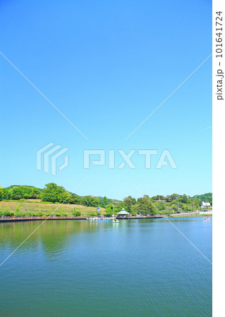 豊田市、家族連れで賑わう鞍ヶ池公園の風景 豊田市、家族連れで賑わう鞍ヶ池公園の風景 101641724