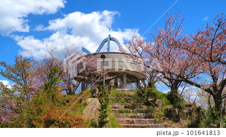 大三島多々羅展望台1 101641813