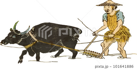 牛を使って田んぼを耕す男性のイラスト素材 [101641886] - PIXTA
