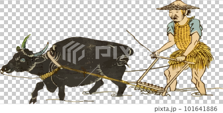 牛を使って田んぼを耕す男性のイラスト素材 [101641886] - PIXTA