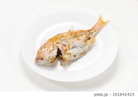 レンコダイの塩焼き レンコダイの塩焼き 101642425