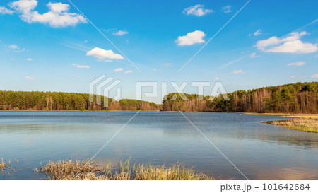 A tranquil water landscape. Forest lake pine forest bright sky A tranquil water landscape. Forest lake pine forest bright sky 101642684