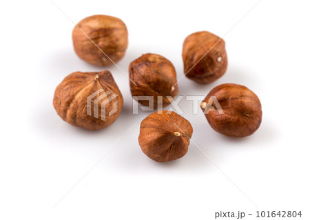 Hazelnuts on the white background Hazelnuts on the white background 101642804