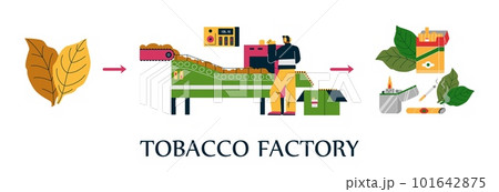 Tobacco factory manufacturing process, flat vector illustration isolated on white background. 101642875