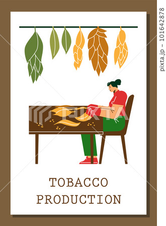 Tobacco production advertising poster, flat vector illustration. 101642878