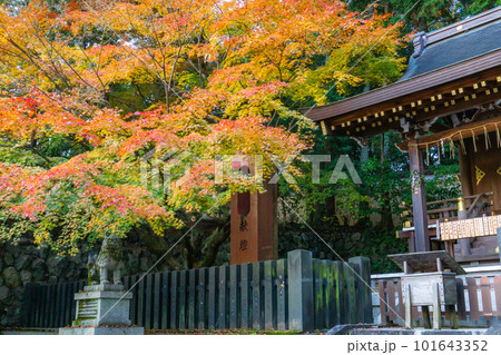 京都市北山の今宮神社の紅葉 織姫神社のもみじ 京都市北山の今宮神社の紅葉 織姫神社のもみじ 101643352