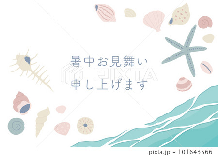 海と貝殻の暑中見舞い 海と貝殻の暑中見舞い 101643566