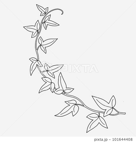Floral ivy drawing decorative ornament flat design. 101644408