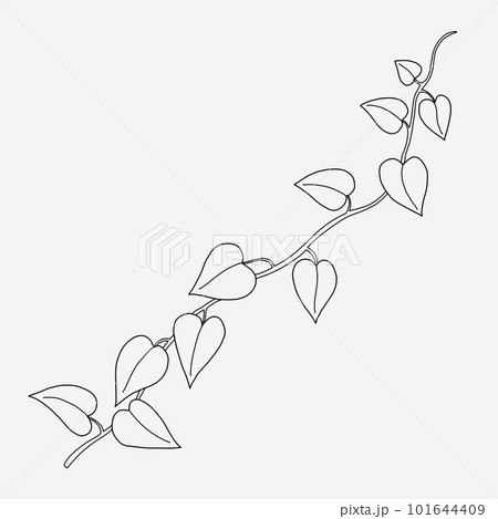 Floral ivy drawing decorative ornament flat design. 101644409