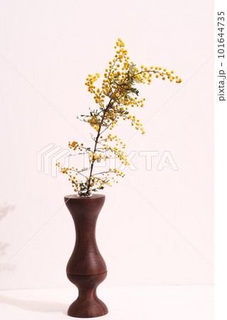 木の花瓶に生けたミモザ 101644735