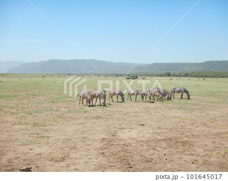マニャラ湖国立公園 101645017