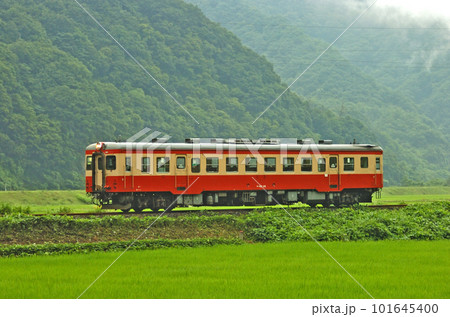 大糸線　根知ー小滝　JR西日本　キハ52-115（糸魚川） 101645400