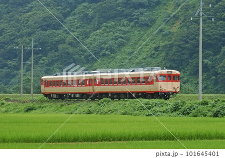 大糸線　小滝ー根知　JR西日本　キハ28-2119+キハ58-596（金沢） 101645401